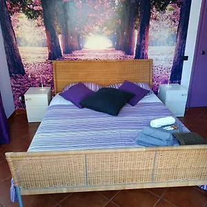 bb-da-claudia-a-monteverde.it-romehotels.com/